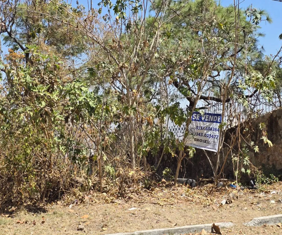 Terreno En Venta,Pinar de la Venta,Paseo de la Rosa Morada 30, Zapopan, Jalisco 45221,Paseo de la Rosa Morada,pQtqyM1