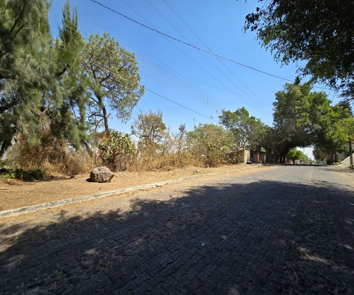 Terreno En Venta,Pinar de la Venta,Paseo de la Rosa Morada 30, Zapopan, Jalisco 45221,Paseo de la Rosa Morada,pQtqyM1