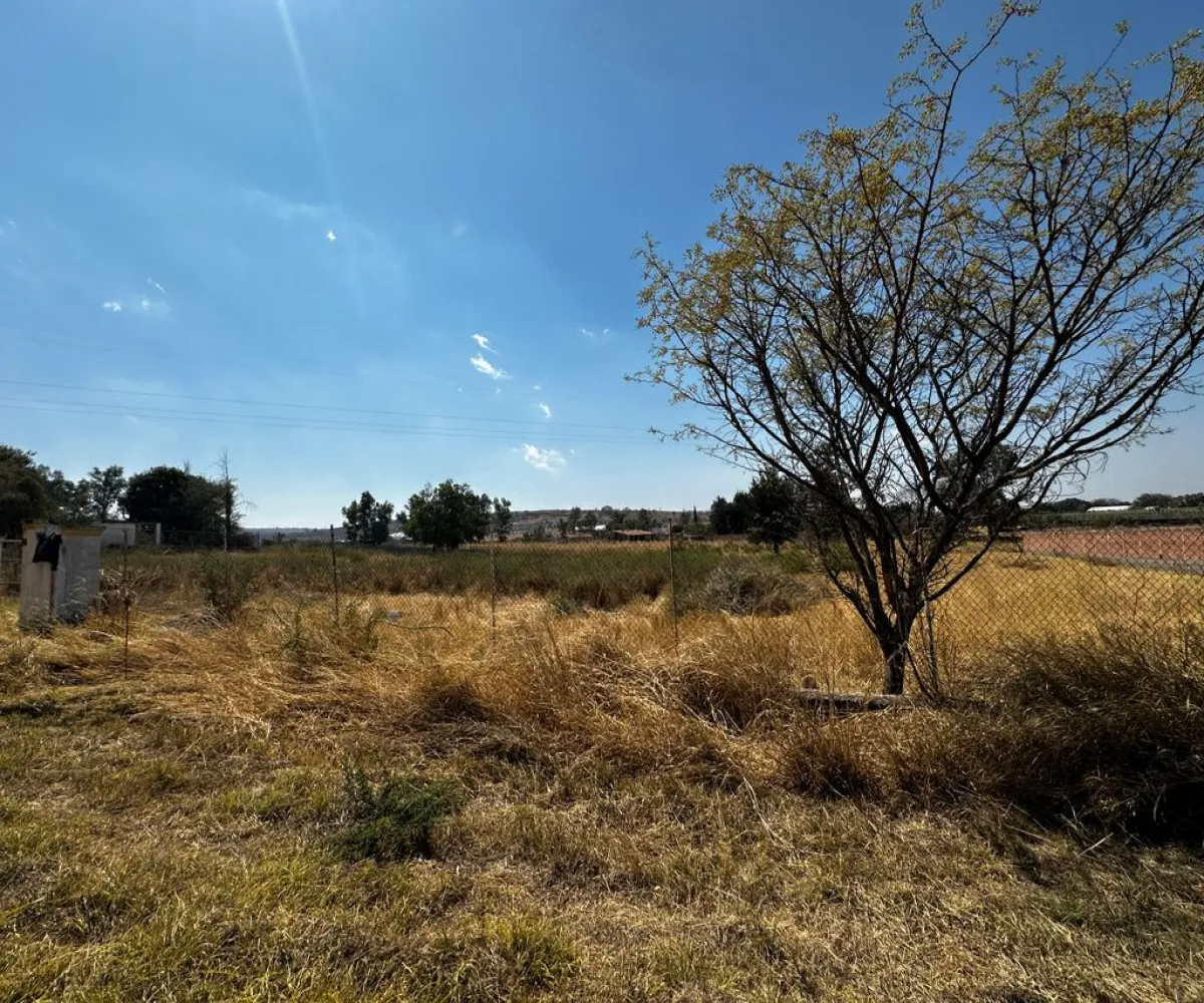 Terreno En Venta,Zapotlanejo,Av. Independencia S/N, Zapotlanejo, Jalisco 45430,Av. Independencia,pi0xz9O