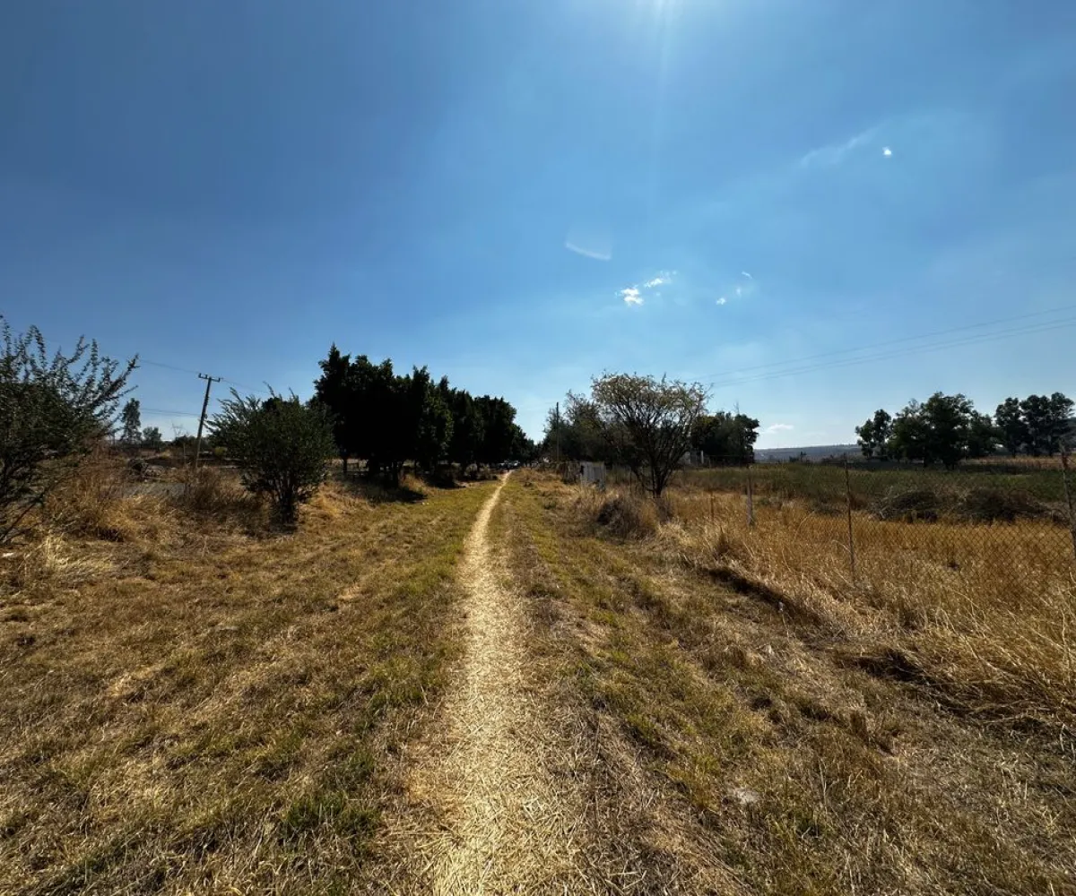 Terreno En Venta,Zapotlanejo,Av. Independencia S/N, Zapotlanejo, Jalisco 45430,Av. Independencia,pi0xz9O