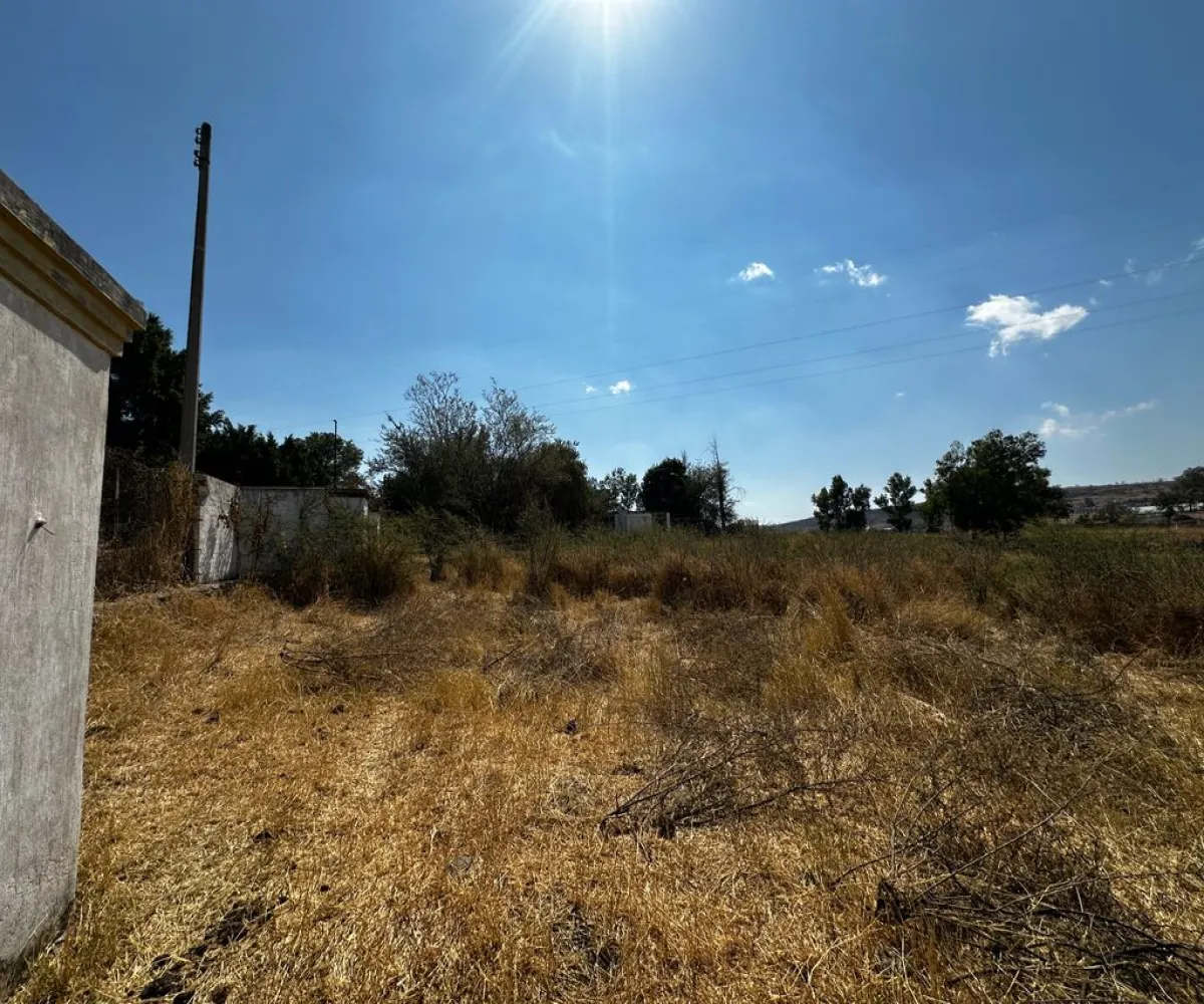 Terreno En Venta,Zapotlanejo,Av. Independencia S/N, Zapotlanejo, Jalisco 45430,Av. Independencia,pi0xz9O