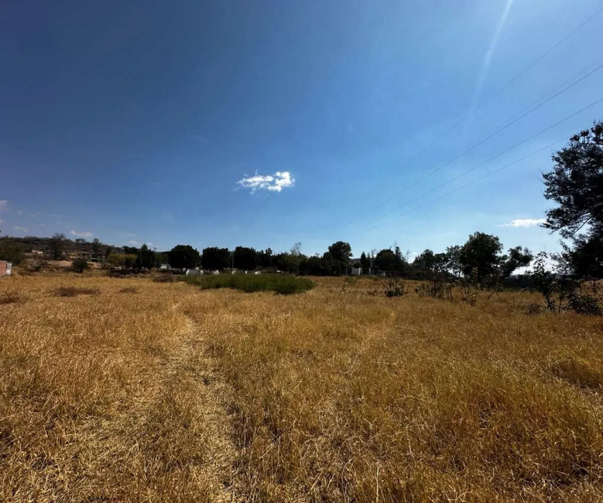 Terreno En Venta,Zapotlanejo,Av. Independencia S/N, Zapotlanejo, Jalisco 45430,Av. Independencia,pi0xz9O