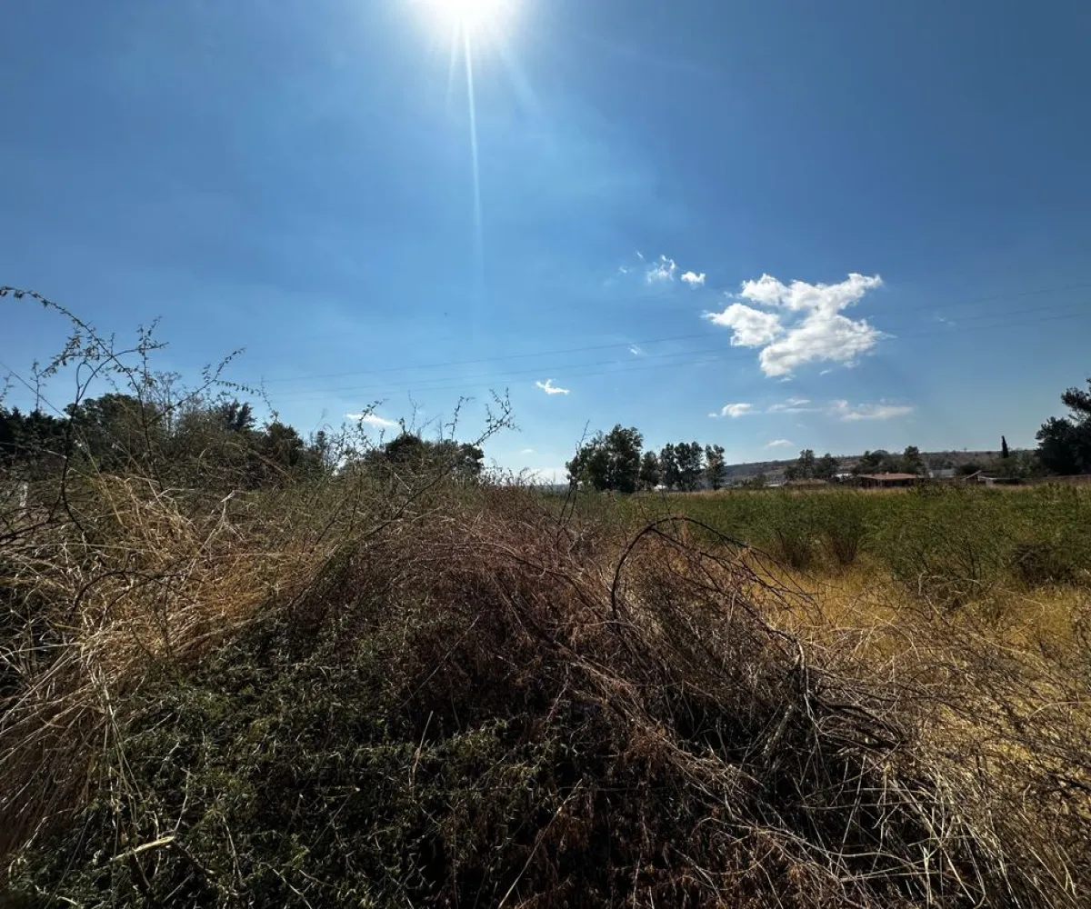 Terreno En Venta,Zapotlanejo,Av. Independencia S/N, Zapotlanejo, Jalisco 45430,Av. Independencia,pi0xz9O
