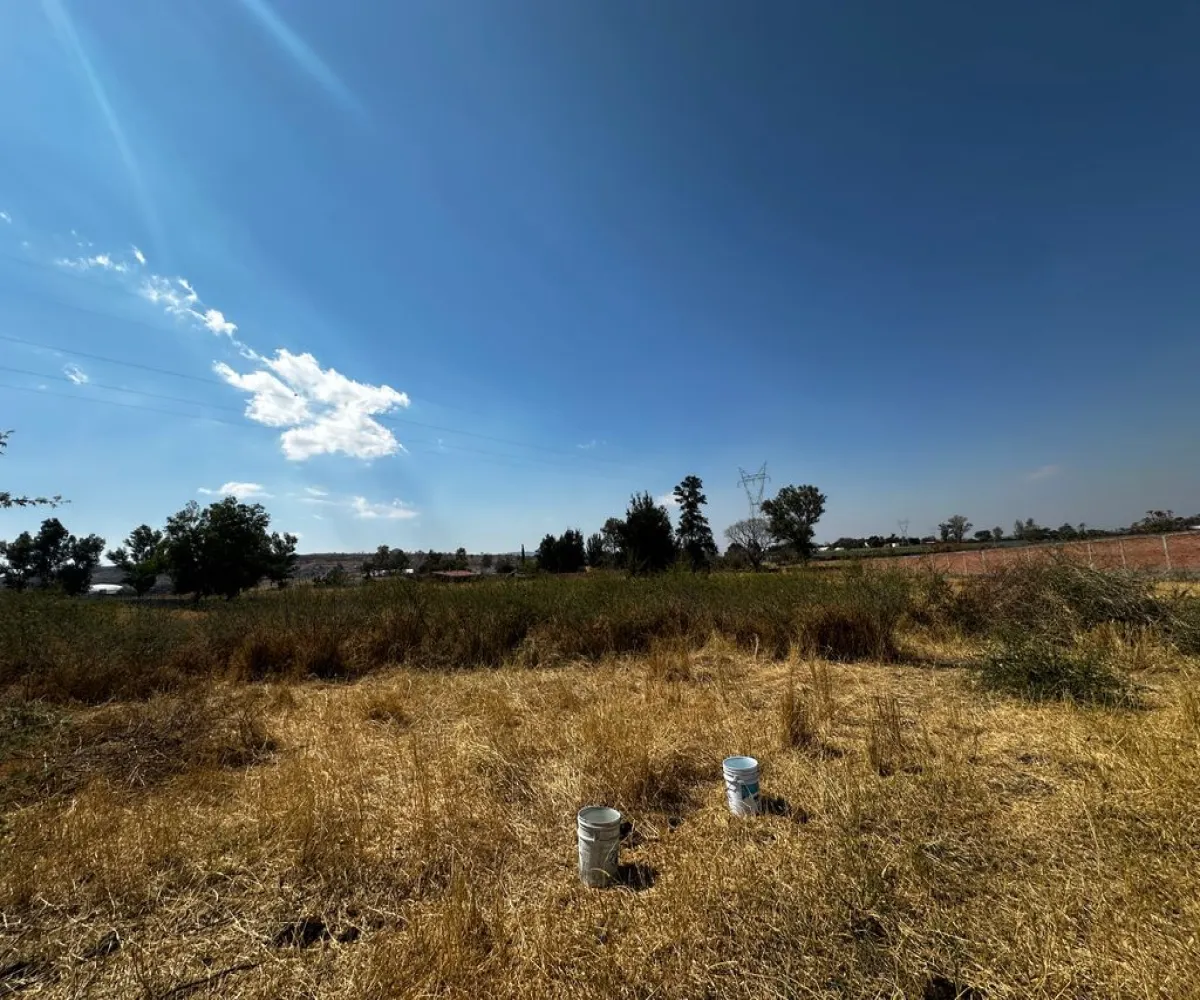 Terreno En Venta,Zapotlanejo,Av. Independencia S/N, Zapotlanejo, Jalisco 45430,Av. Independencia,pi0xz9O