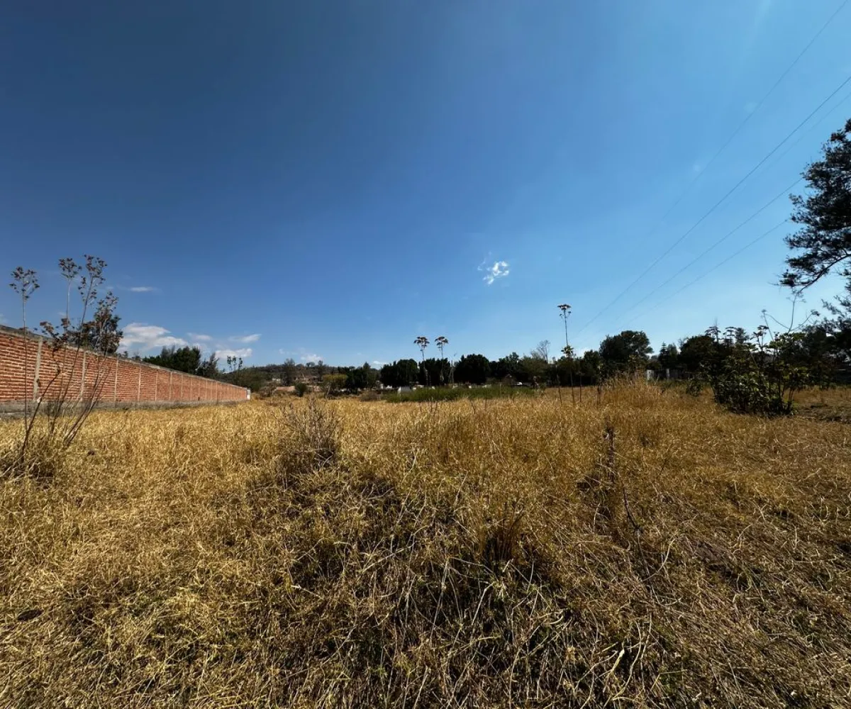 Terreno En Venta,Zapotlanejo,Av. Independencia S/N, Zapotlanejo, Jalisco 45430,Av. Independencia,pi0xz9O