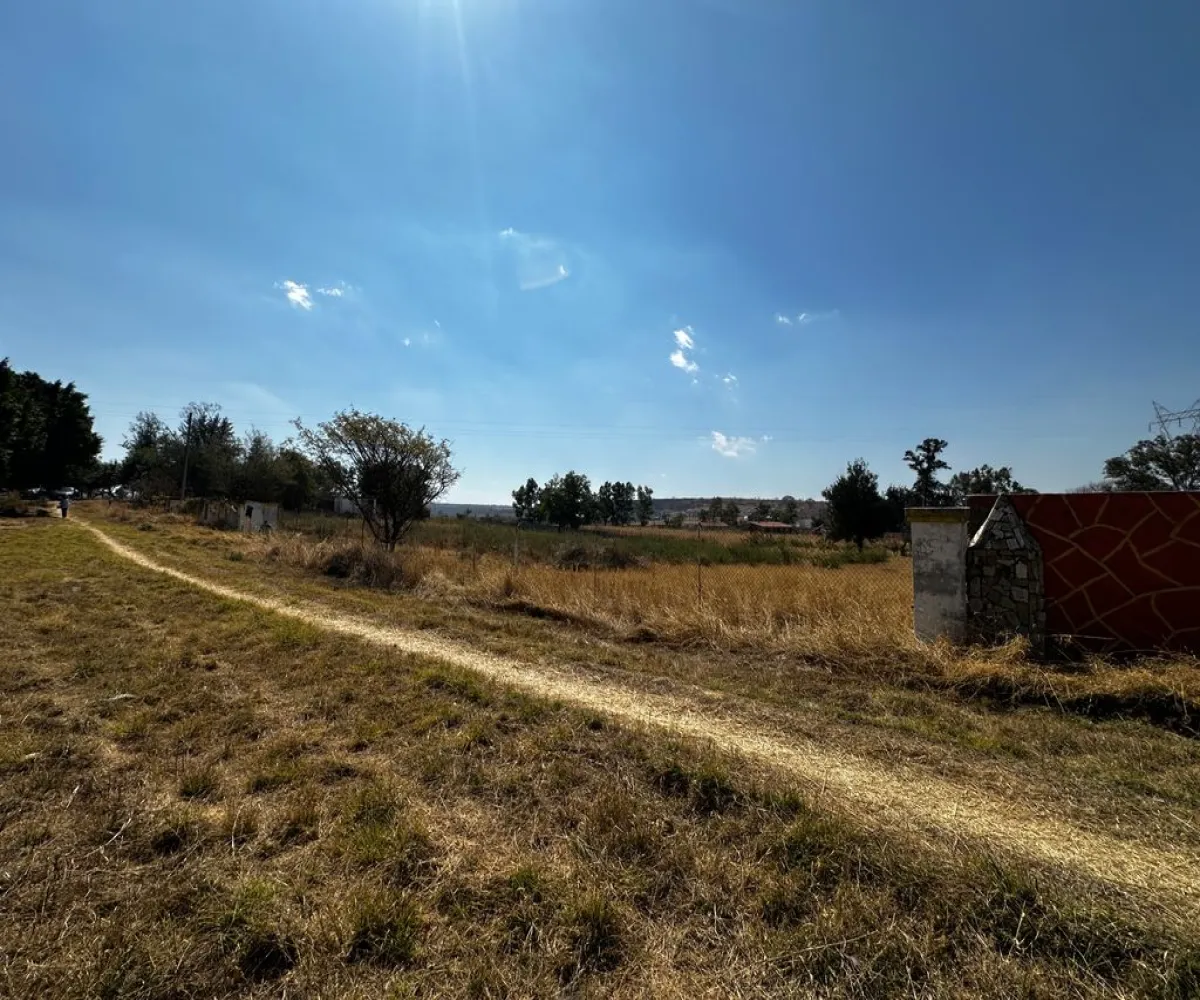 Terreno En Venta,Zapotlanejo,Av. Independencia S/N, Zapotlanejo, Jalisco 45430,Av. Independencia,pi0xz9O