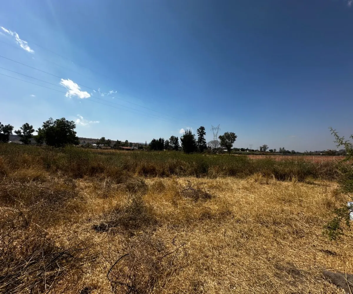 Terreno En Venta,Zapotlanejo,Av. Independencia S/N, Zapotlanejo, Jalisco 45430,Av. Independencia,pi0xz9O