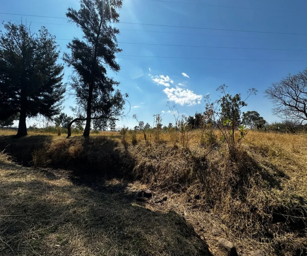Terreno En Venta,Zapotlanejo,Av. Independencia S/N, Zapotlanejo, Jalisco 45430,Av. Independencia,pi0xz9O