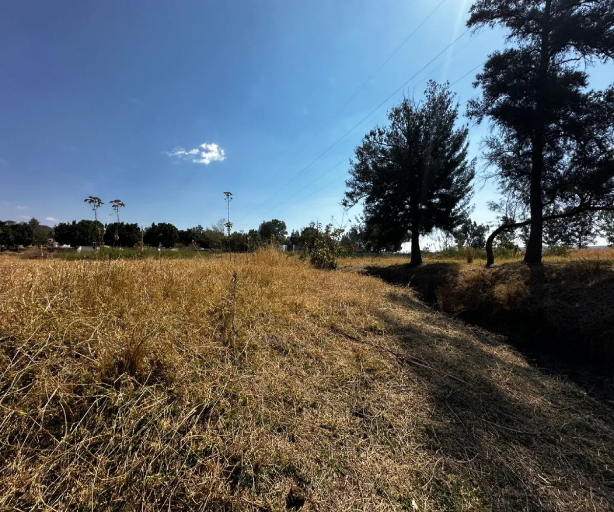 Terreno En Venta,Zapotlanejo,Av. Independencia S/N, Zapotlanejo, Jalisco 45430,Av. Independencia,pi0xz9O