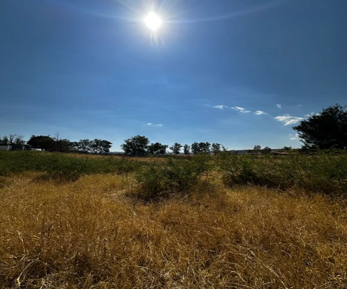 Terreno En Venta,Zapotlanejo,Av. Independencia S/N, Zapotlanejo, Jalisco 45430,Av. Independencia,pi0xz9O