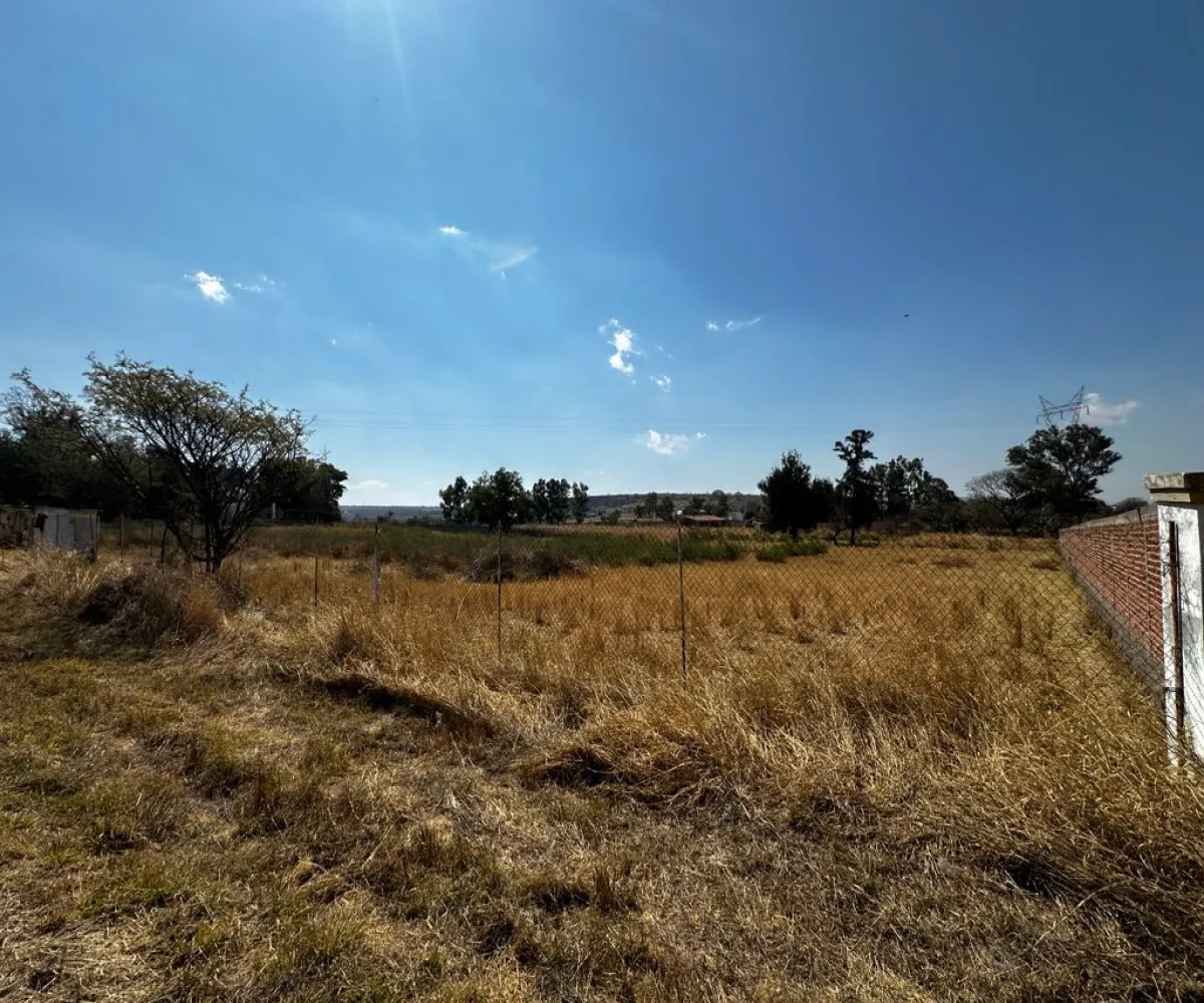 Terreno En Venta,Zapotlanejo,Av. Independencia S/N, Zapotlanejo, Jalisco 45430,Av. Independencia,pi0xz9O