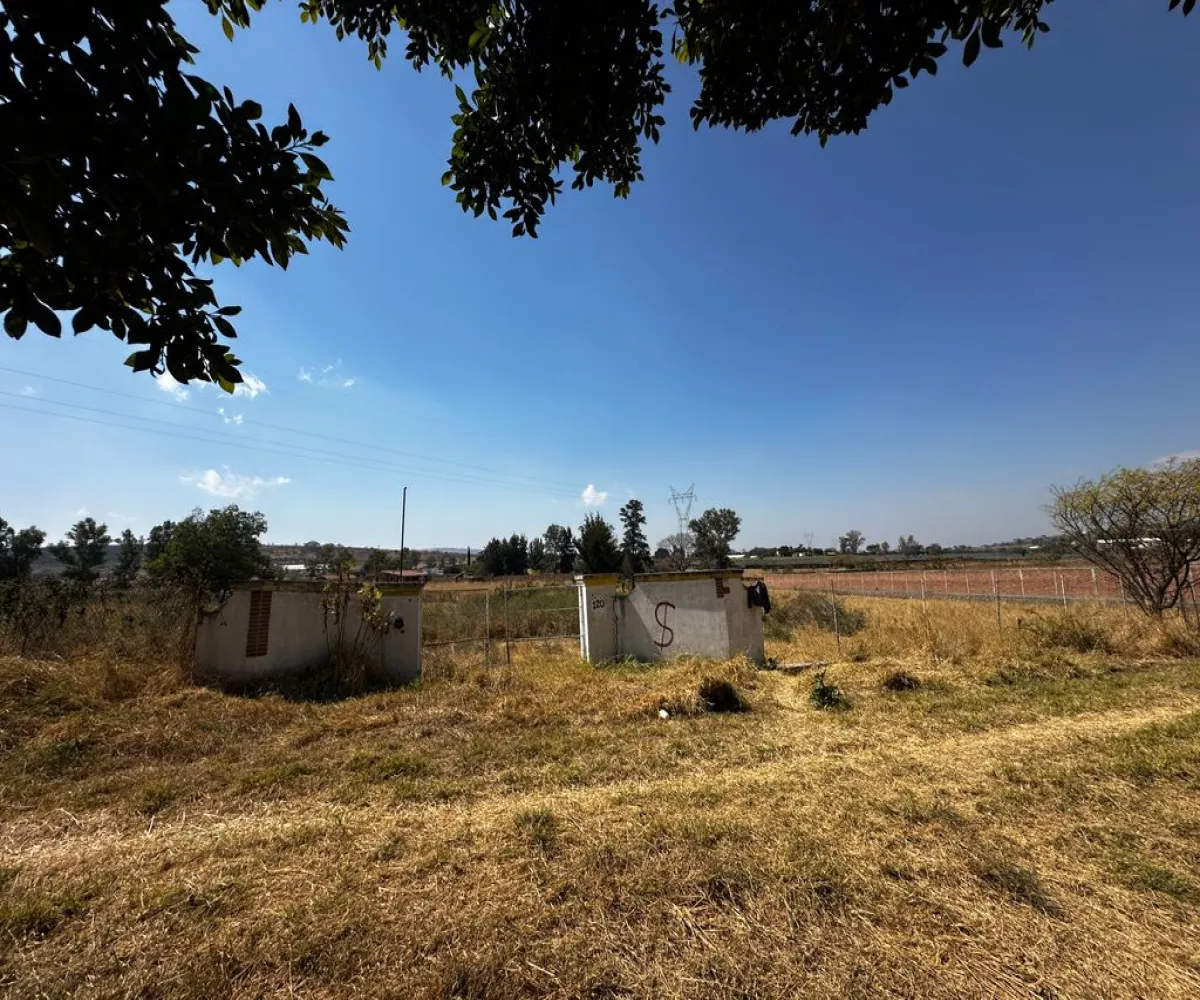 Terreno En Venta,Zapotlanejo,Av. Independencia S/N, Zapotlanejo, Jalisco 45430,Av. Independencia,pi0xz9O