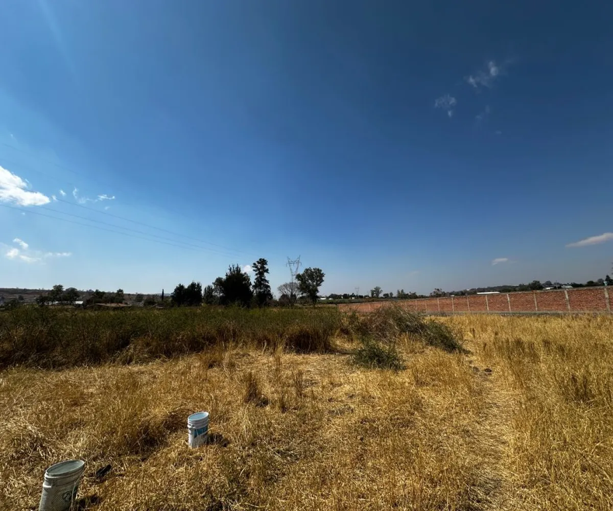 Terreno En Venta,Zapotlanejo,Av. Independencia S/N, Zapotlanejo, Jalisco 45430,Av. Independencia,pi0xz9O