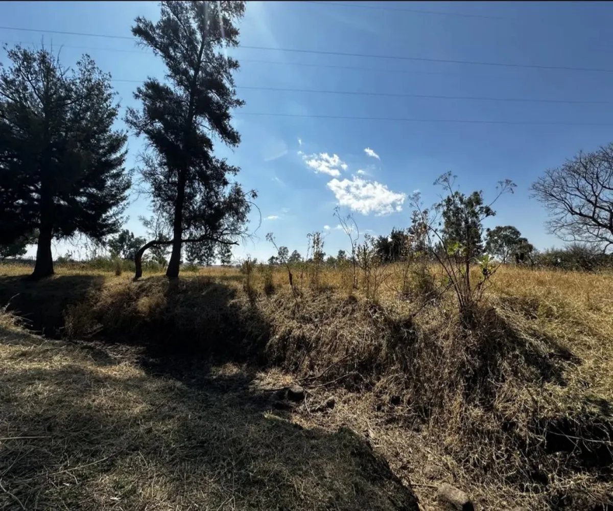 Terreno En Venta,Zapotlanejo,Av. Independencia S/N, Zapotlanejo, Jalisco 45430,Av. Independencia,pi0xz9O