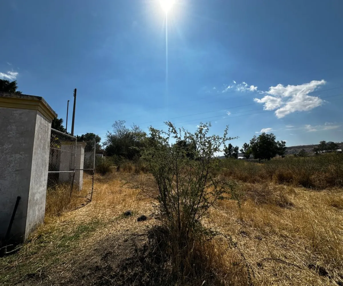 Terreno En Venta,Zapotlanejo,Av. Independencia S/N, Zapotlanejo, Jalisco 45430,Av. Independencia,pi0xz9O