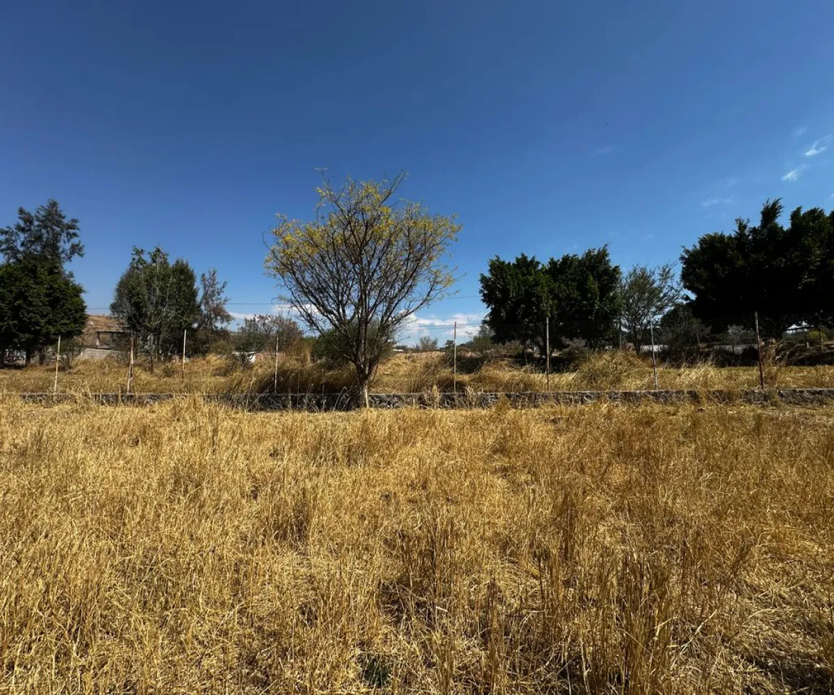 Terreno En Venta,Zapotlanejo,Av. Independencia S/N, Zapotlanejo, Jalisco 45430,Av. Independencia,pi0xz9O