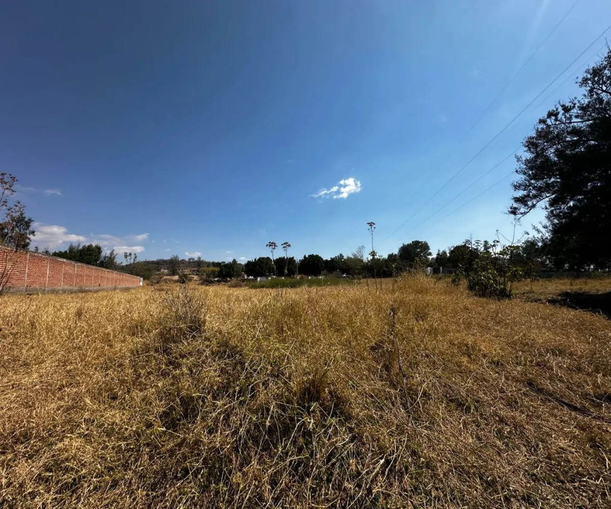 Terreno En Venta,Zapotlanejo,Av. Independencia S/N, Zapotlanejo, Jalisco 45430,Av. Independencia,pi0xz9O