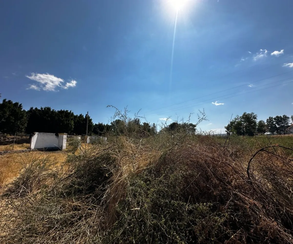 Terreno En Venta,Zapotlanejo,Av. Independencia S/N, Zapotlanejo, Jalisco 45430,Av. Independencia,pi0xz9O