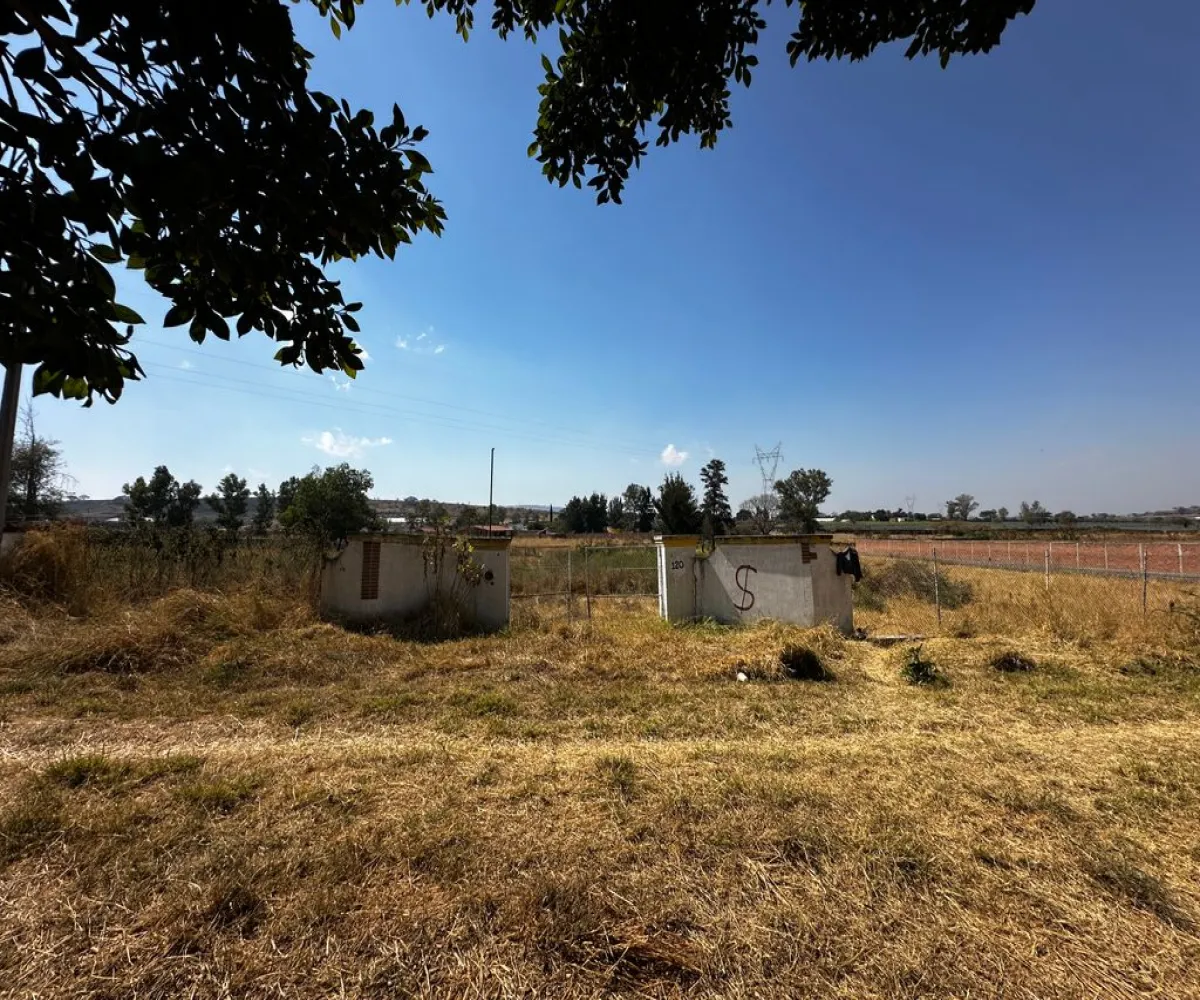 Terreno En Venta,Zapotlanejo,Av. Independencia S/N, Zapotlanejo, Jalisco 45430,Av. Independencia,pi0xz9O