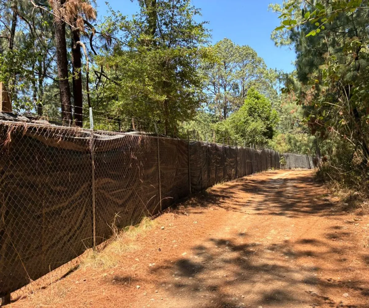 Terreno En Venta,Fracc. Grand Mazamitla ,Lote 1 al 11, Mazamitla, Jalisco 49500,Lote ,pq79Sx0