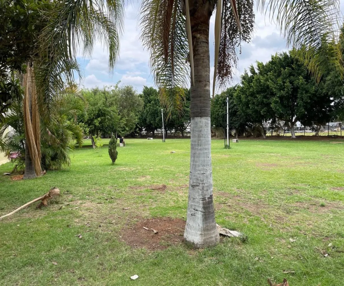 Casa En Venta,SANTA ANITA |, San Pedro Tlaquepaque, Jalisco 45600, 2 Habitaciones,1 Baño,SANTA ANITA,1,pIpx2TC