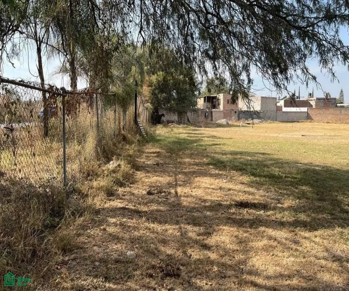 Local En Venta,El Zapote Del Valle,S/N, Tlajomulco de Zuniga, Jalisco 45672,MX25903850