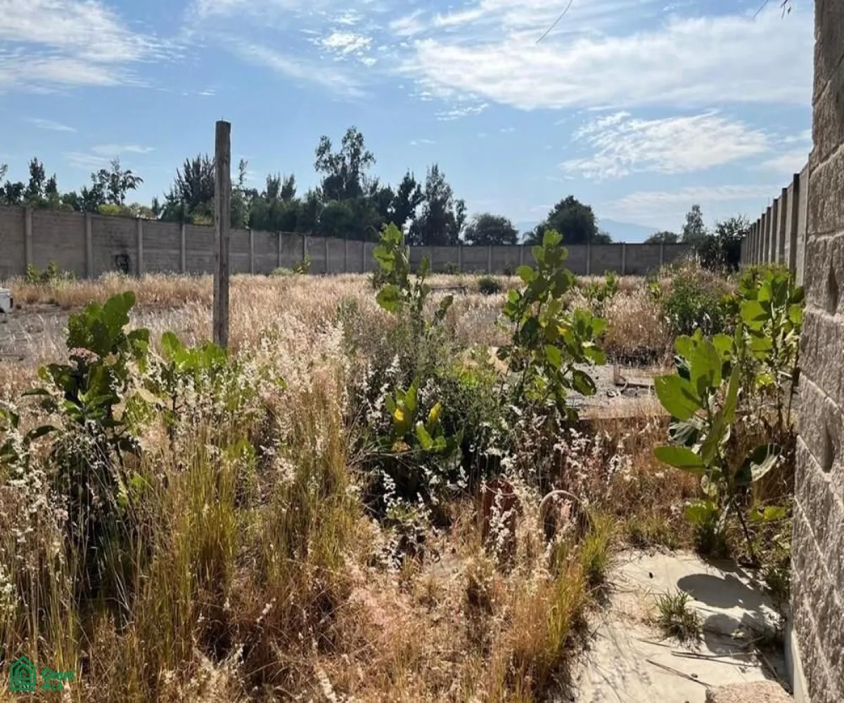 Local En Venta,El Zapote Del Valle,S/N, Tlajomulco de Zuniga, Jalisco 45672,MX25903850