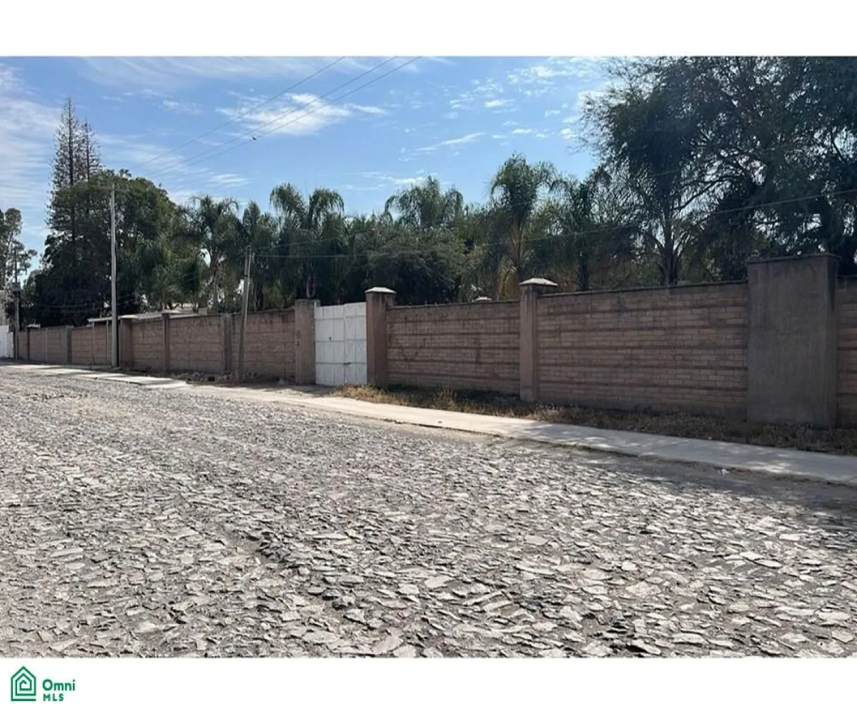 Local En Venta,El Zapote Del Valle,S/N, Tlajomulco de Zuniga, Jalisco 45672,MX25903850