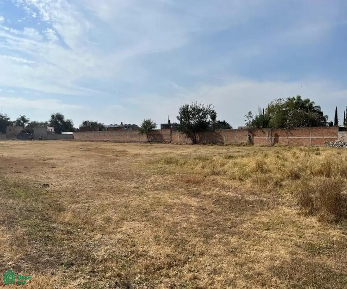 Local En Venta,El Zapote Del Valle,S/N, Tlajomulco de Zuniga, Jalisco 45672,MX25903850