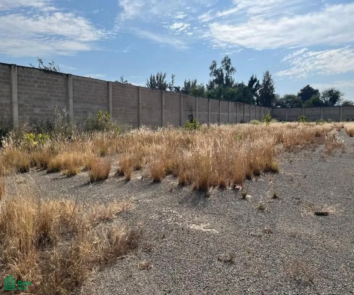 Local En Venta,El Zapote Del Valle,S/N, Tlajomulco de Zuniga, Jalisco 45672,MX25903850