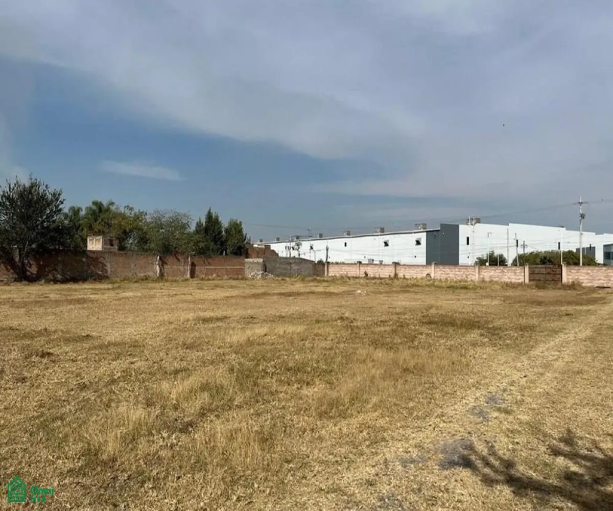 Local En Venta,El Zapote Del Valle,S/N, Tlajomulco de Zuniga, Jalisco 45672,MX25903850