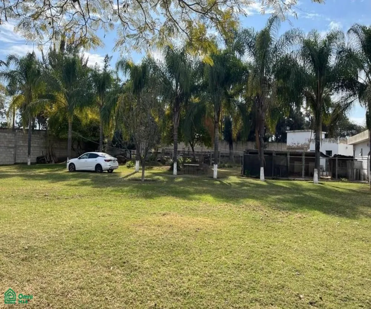 Local En Venta,El Zapote Del Valle,S/N, Tlajomulco de Zuniga, Jalisco 45672,MX25903850