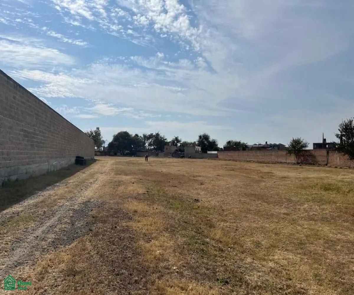 Local En Venta,El Zapote Del Valle,S/N, Tlajomulco de Zuniga, Jalisco 45672,MX25903850