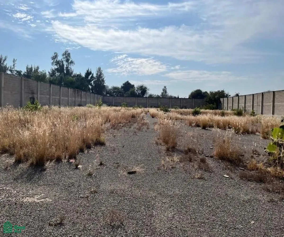 Local En Venta,El Zapote Del Valle,S/N, Tlajomulco de Zuniga, Jalisco 45672,MX25903850