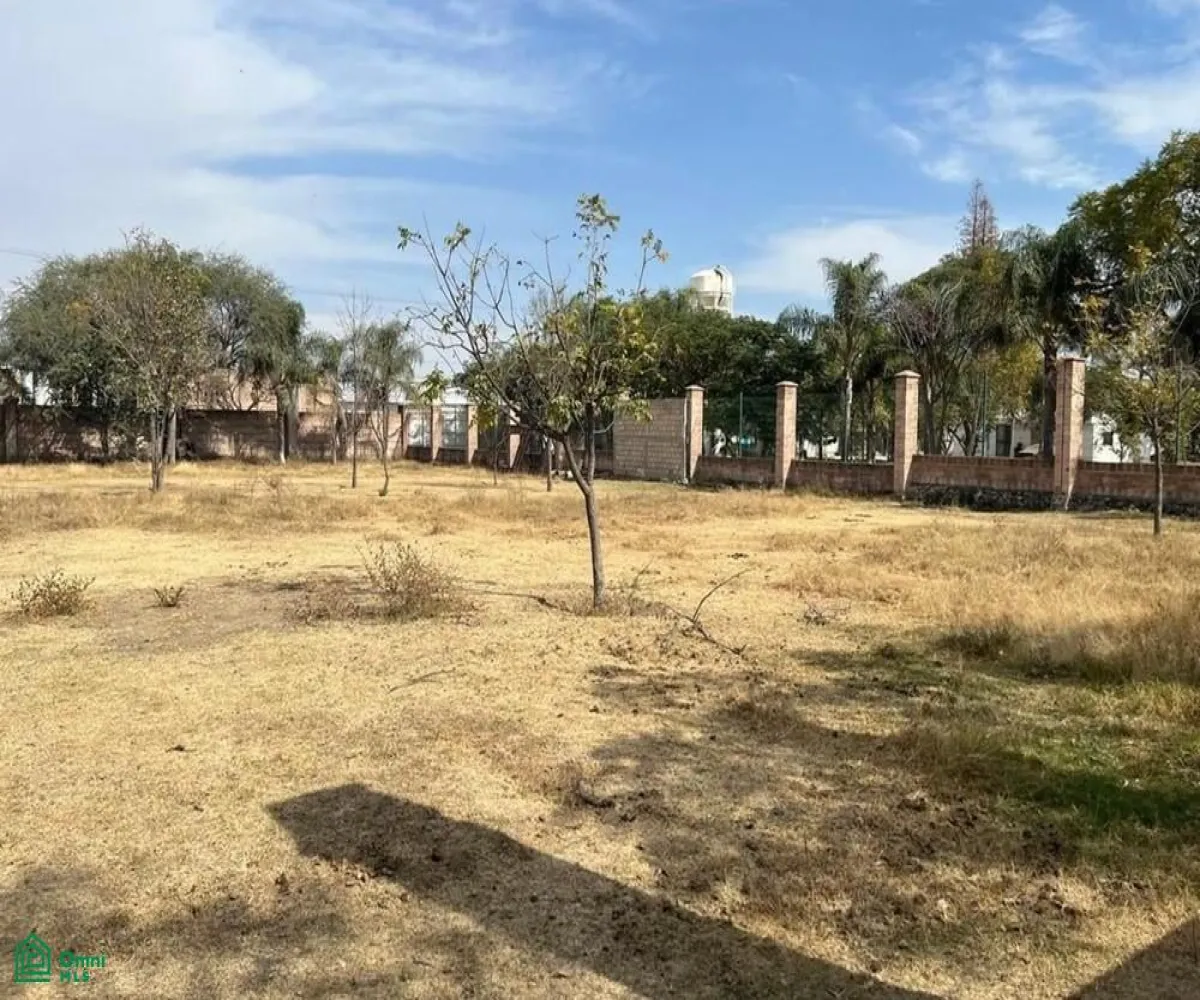 Local En Venta,El Zapote Del Valle,S/N, Tlajomulco de Zuniga, Jalisco 45672,MX25903850