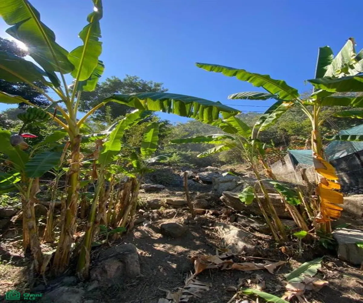 Terreno En Venta,Boca de Tomatlán,Carretera 200 03, Puerto Vallarta, Jalisco 48292,Carretera 200,MX25906397