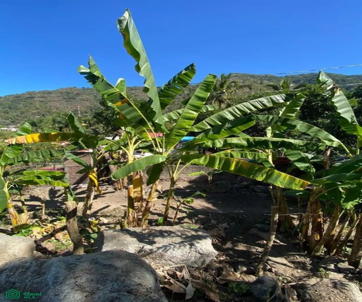 Terreno En Venta,Boca de Tomatlán,Carretera 200 03, Puerto Vallarta, Jalisco 48292,Carretera 200,MX25906397