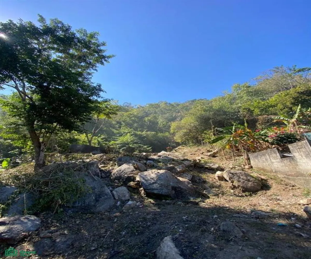 Terreno En Venta,Boca de Tomatlán,Carretera 200 03, Puerto Vallarta, Jalisco 48292,Carretera 200,MX25906397