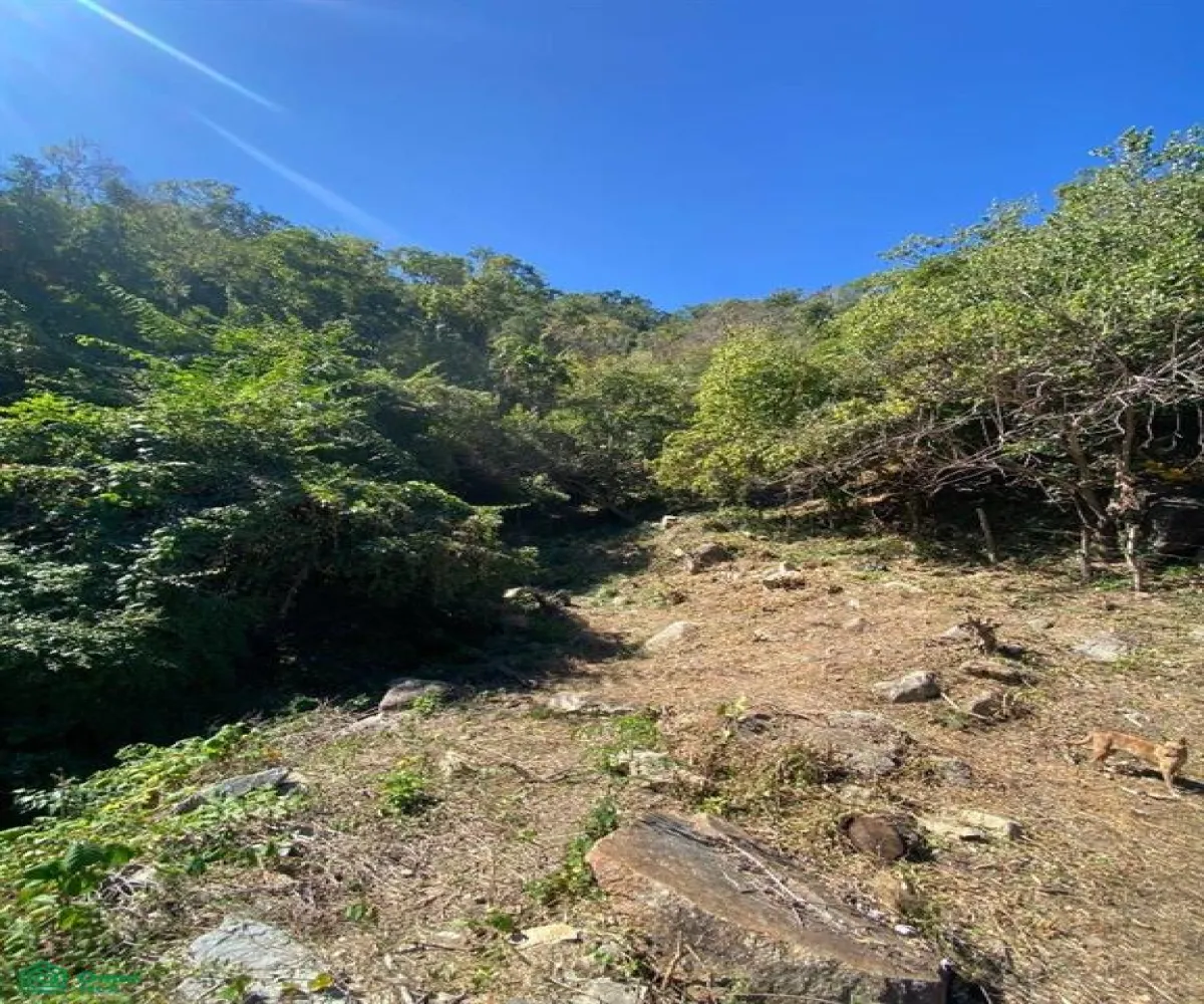 Terreno En Venta,Boca de Tomatlán,Carretera 200 03, Puerto Vallarta, Jalisco 48292,Carretera 200,MX25906397