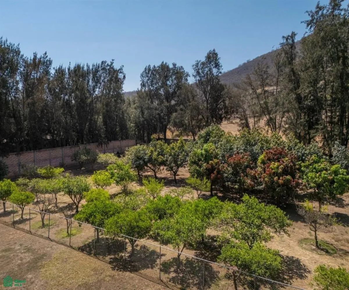 En Venta,Tlajomulco Centro,Camino Real 210, Tlajomulco de Zuniga, Jalisco 45640, 4 Habitaciones,5 Baños,Camino Real,MX25916362