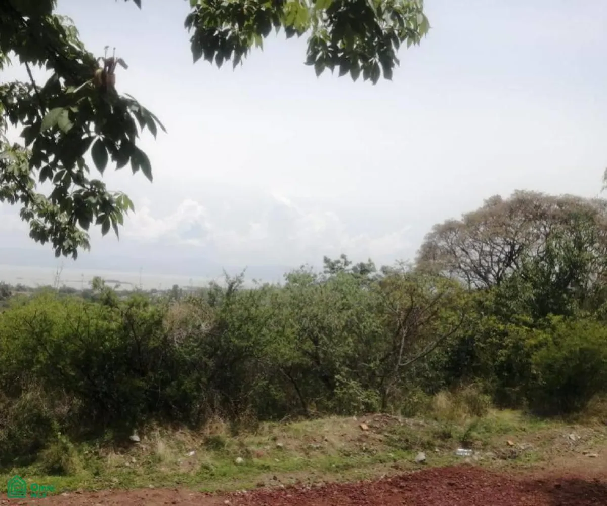 Terreno En Venta,San Nicolás de Ibarra,Paseo de los Conejos 3.58 Manzana 3, Chapala, Jalisco 45940,Paseo de los Conejos,MX25916676