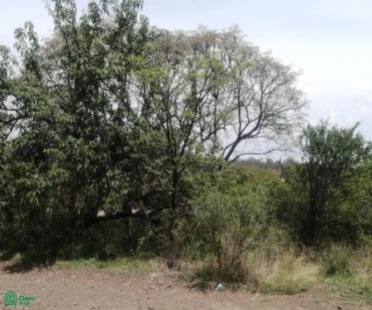 Terreno En Venta,San Nicolás de Ibarra,Paseo de los Conejos 3.58 Manzana 3, Chapala, Jalisco 45940,Paseo de los Conejos,MX25916676