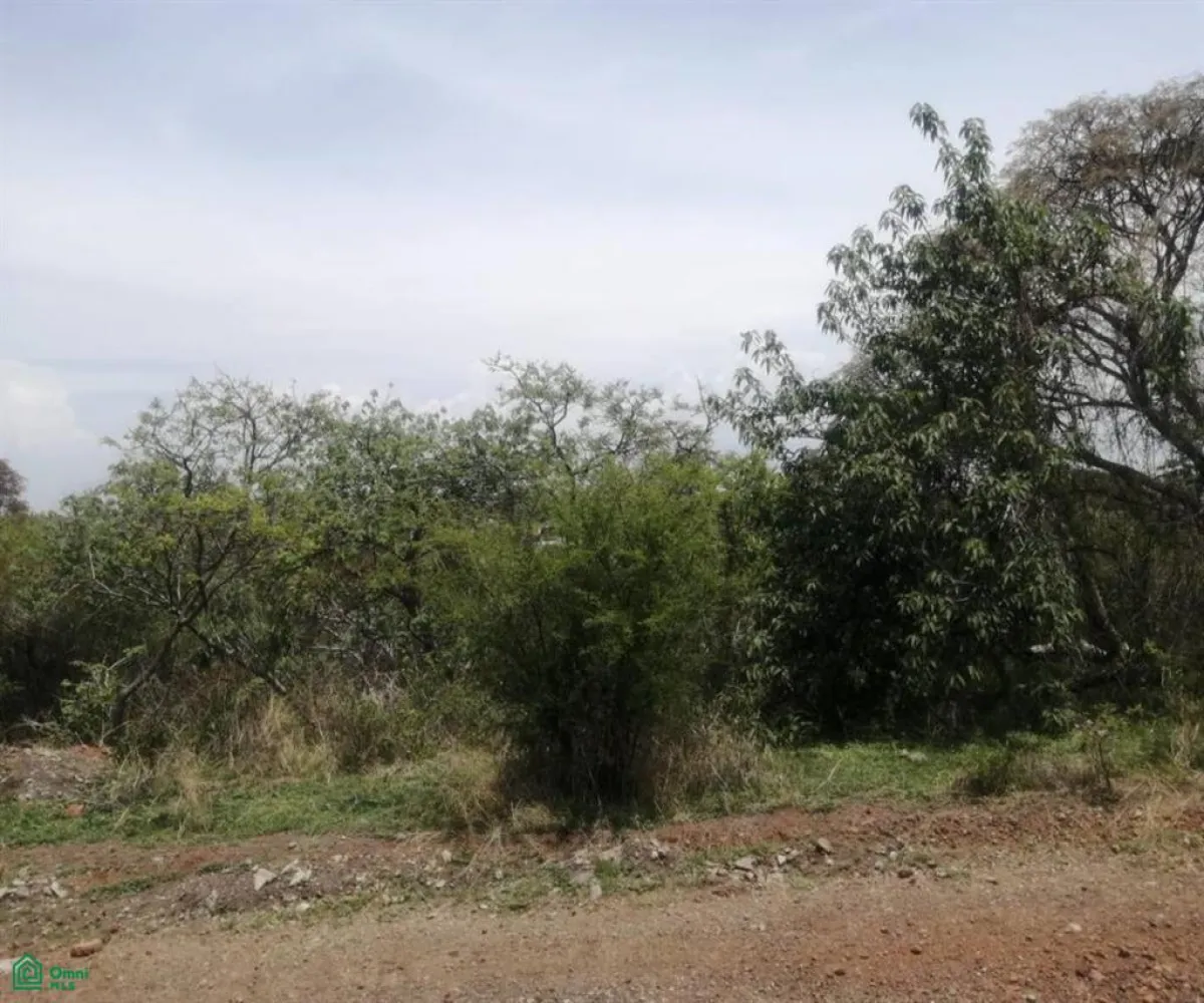 Terreno En Venta,San Nicolás de Ibarra,Paseo de los Conejos 3.58 Manzana 3, Chapala, Jalisco 45940,Paseo de los Conejos,MX25916676