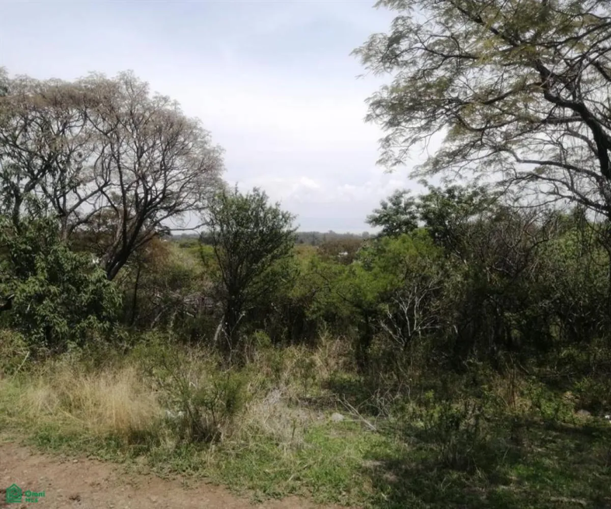 Terreno En Venta,San Nicolás de Ibarra,Paseo de los Conejos 3.58 Manzana 3, Chapala, Jalisco 45940,Paseo de los Conejos,MX25916676