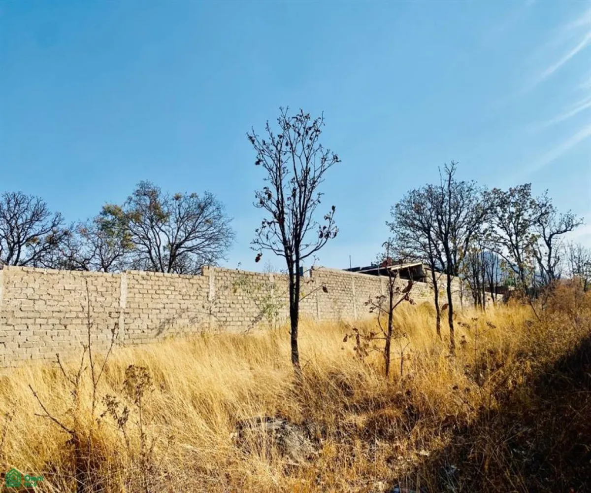 Terreno En Venta,Ejido Copalita,rubi s/n, Zapopan, Jalisco 45200,rubi,MX25929172