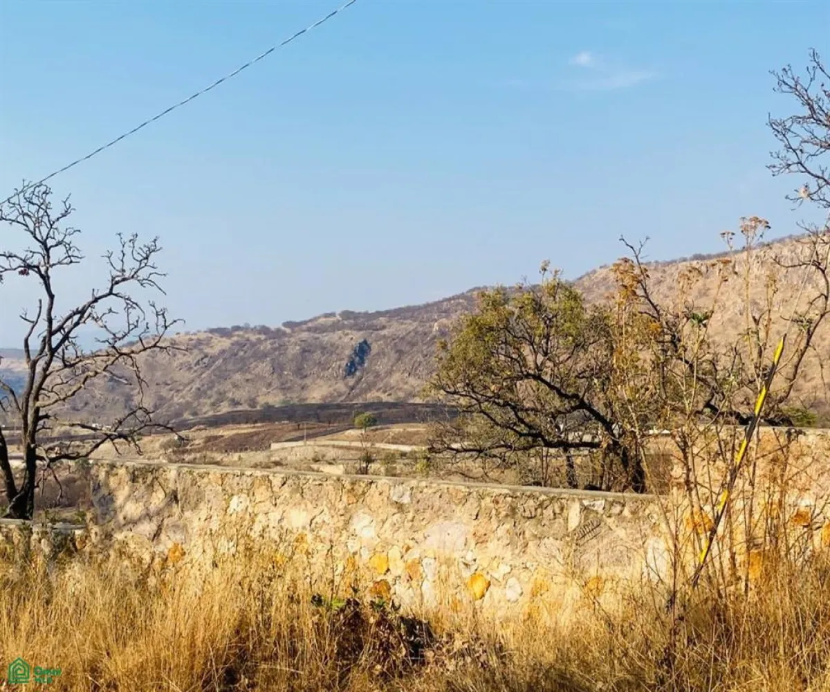 Terreno En Venta,Ejido Copalita,rubi s/n, Zapopan, Jalisco 45200,rubi,MX25929172