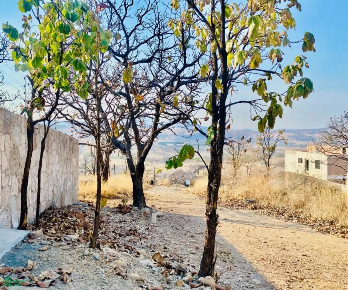 Terreno En Venta,Ejido Copalita,rubi s/n, Zapopan, Jalisco 45200,rubi,MX25929172