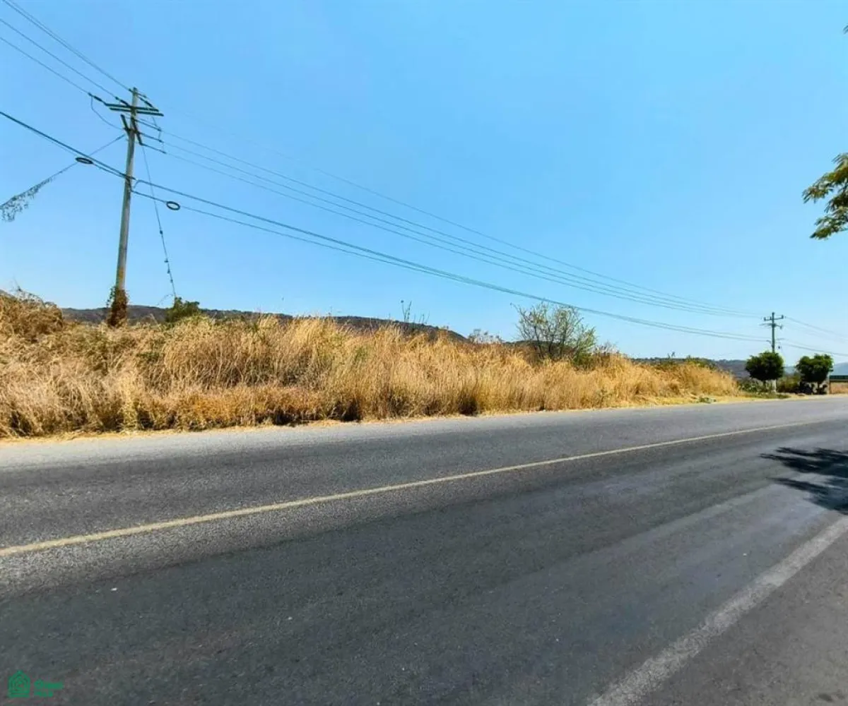 Terreno En Venta,San Nicolás de Ibarra,CARRETERA CHAPALA MEZCALA S/N, Chapala, Jalisco 45940,CARRETERA CHAPALA MEZCALA,MX25930698