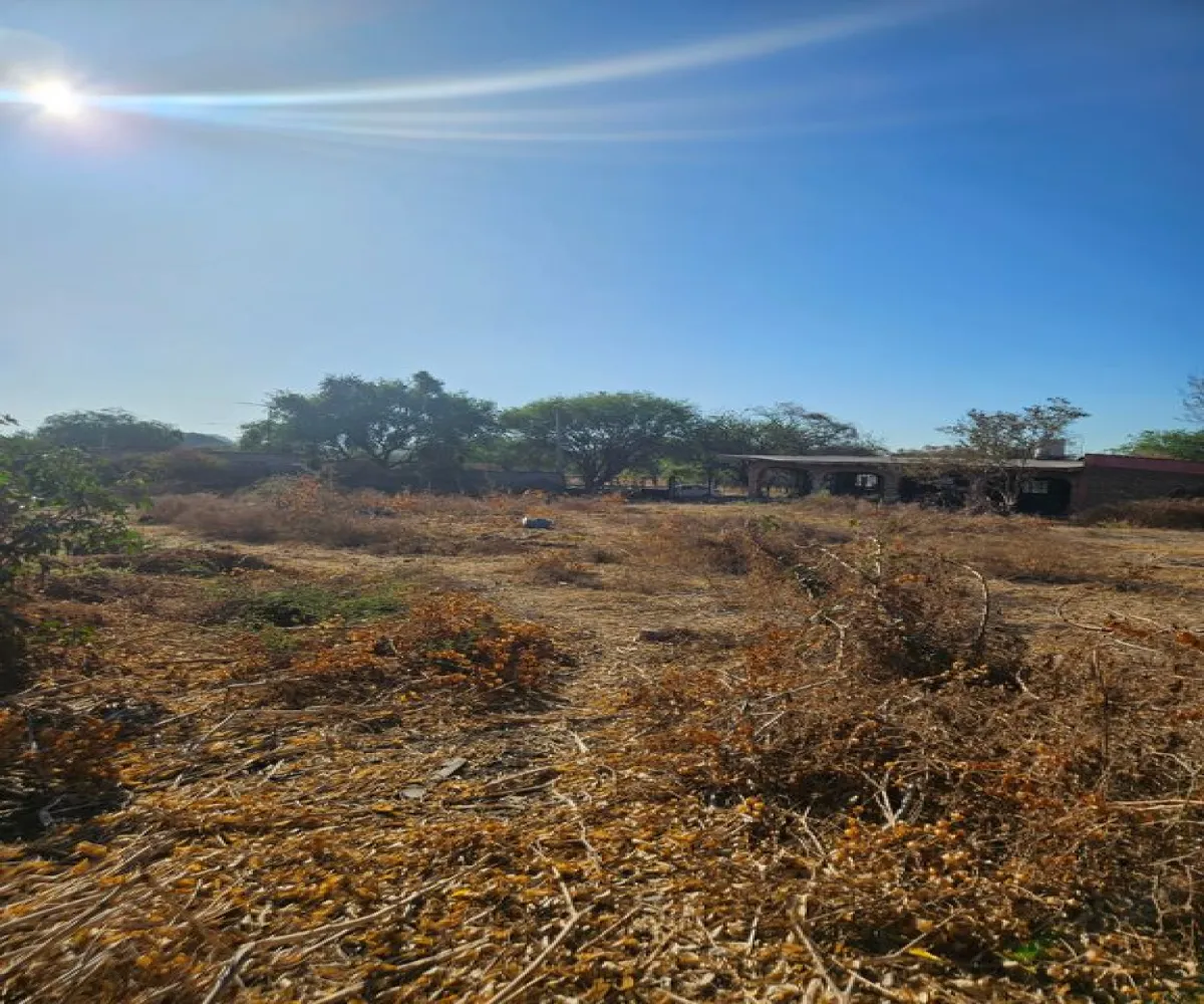 Terreno En Venta,San juan evangelista 0 8, Tlajomulco de Zúñiga, Jalisco 45665,San juan evangelista ,p7DG4Tj