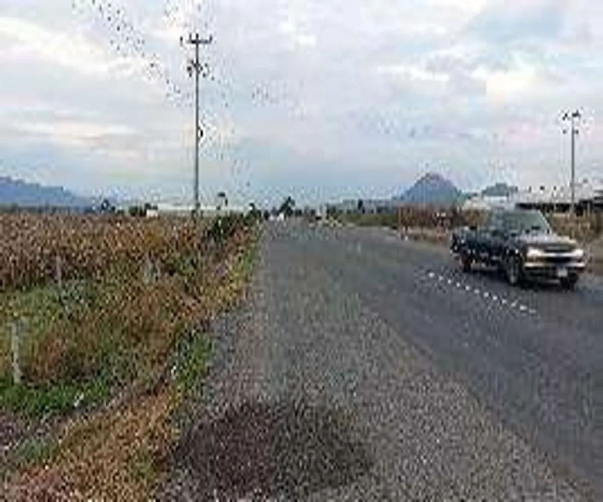 Terreno En Venta,Centro,Guadalajara - Ocotolan s/n. A 3.5 Km al oriente de Poncitlan S/N, Poncitlán, Jalisco 45950,Guadalajara - Ocotolan s/n. A 3.5 Km al oriente de Poncitlan,pn2I3jk Terreno En Venta,Centro,Guadalajara - Ocotolan s/n. A 3.5 Km al oriente de Poncitlan S/N, Poncitlán, Jalisco 45950,Guadalajara - Ocotolan s/n. A 3.5 Km al oriente de Poncitlan,pn2I3jk